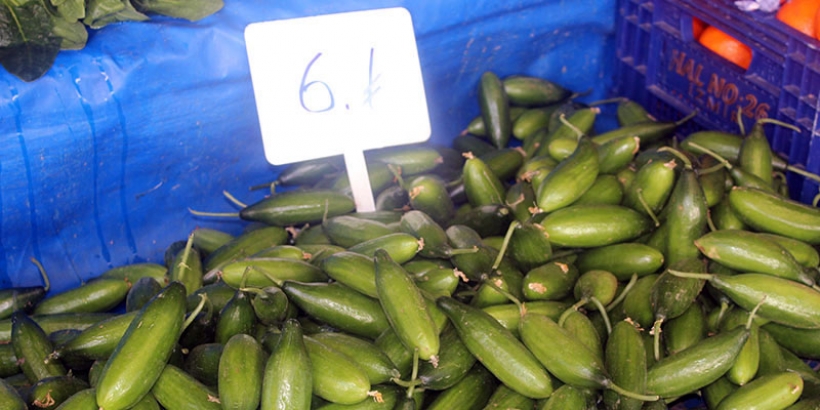 PERŞEMBE PAZARININ ŞAMPİYONU SALATALIK